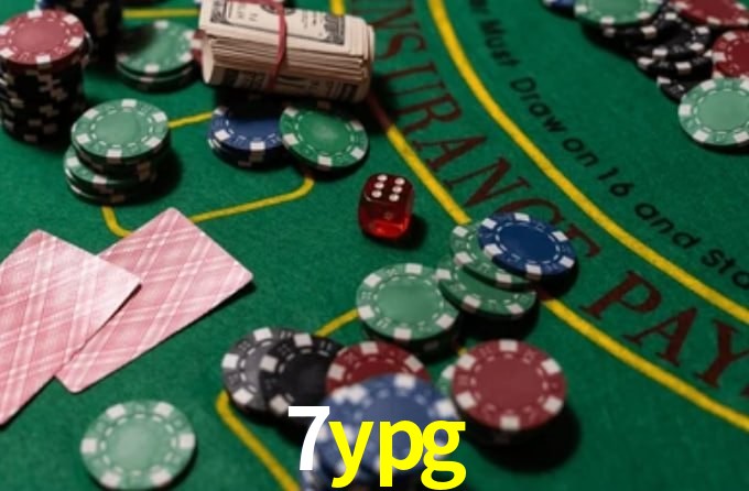 Premium Interface 7ypg